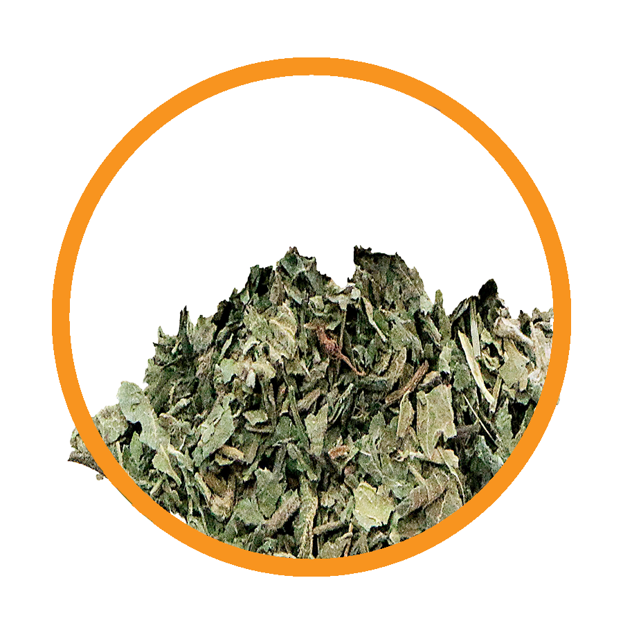 Ortie Cure de Breuss