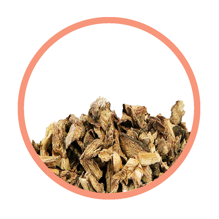 Bardane dépurative peau