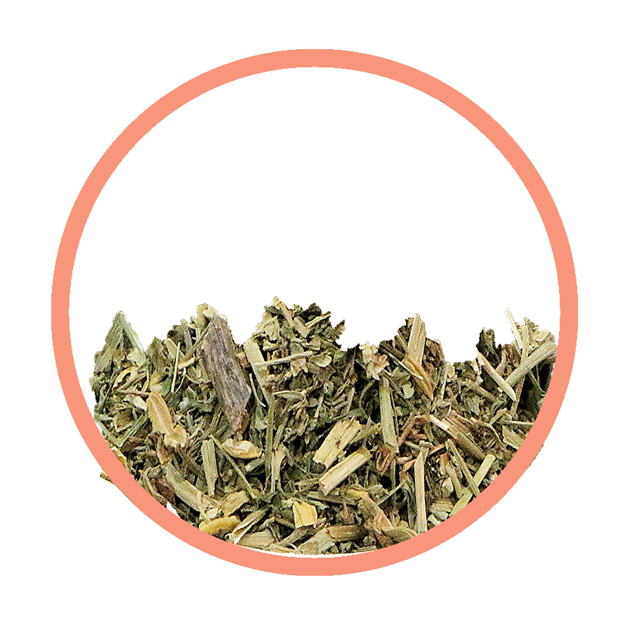 Pensée Dépurative peau