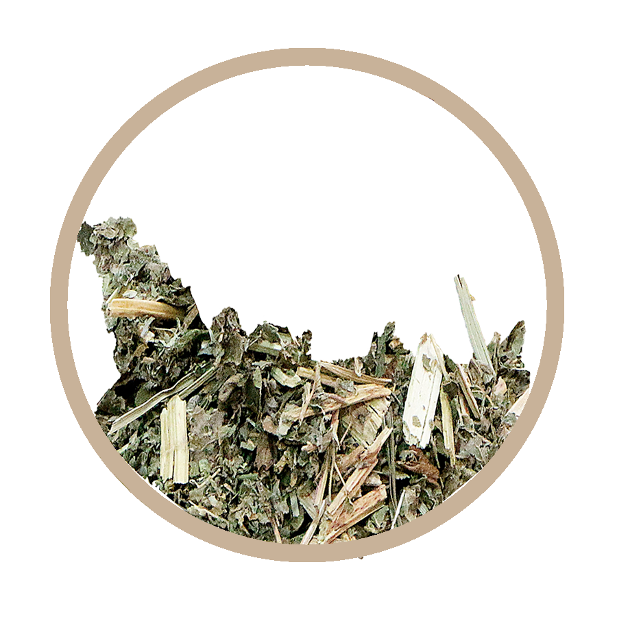 Reine des prés Détox