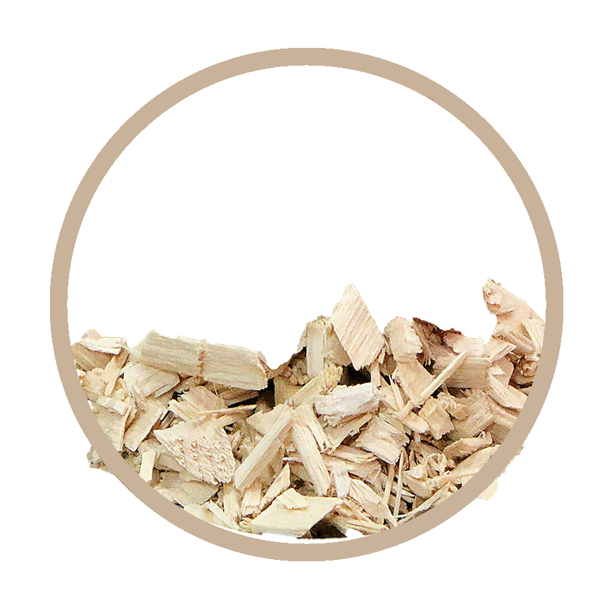 Tilleul aubier Détox