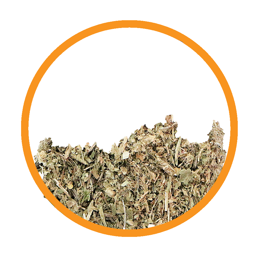 Piloselle Diurétique