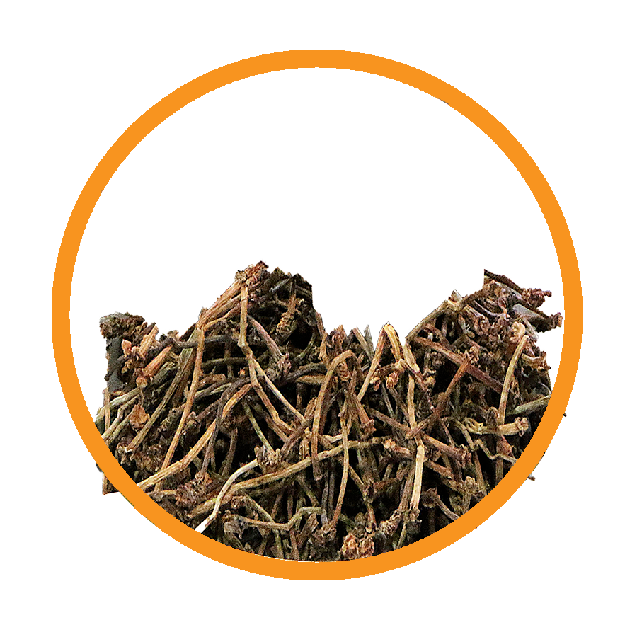 Queues de cerise Diurétique