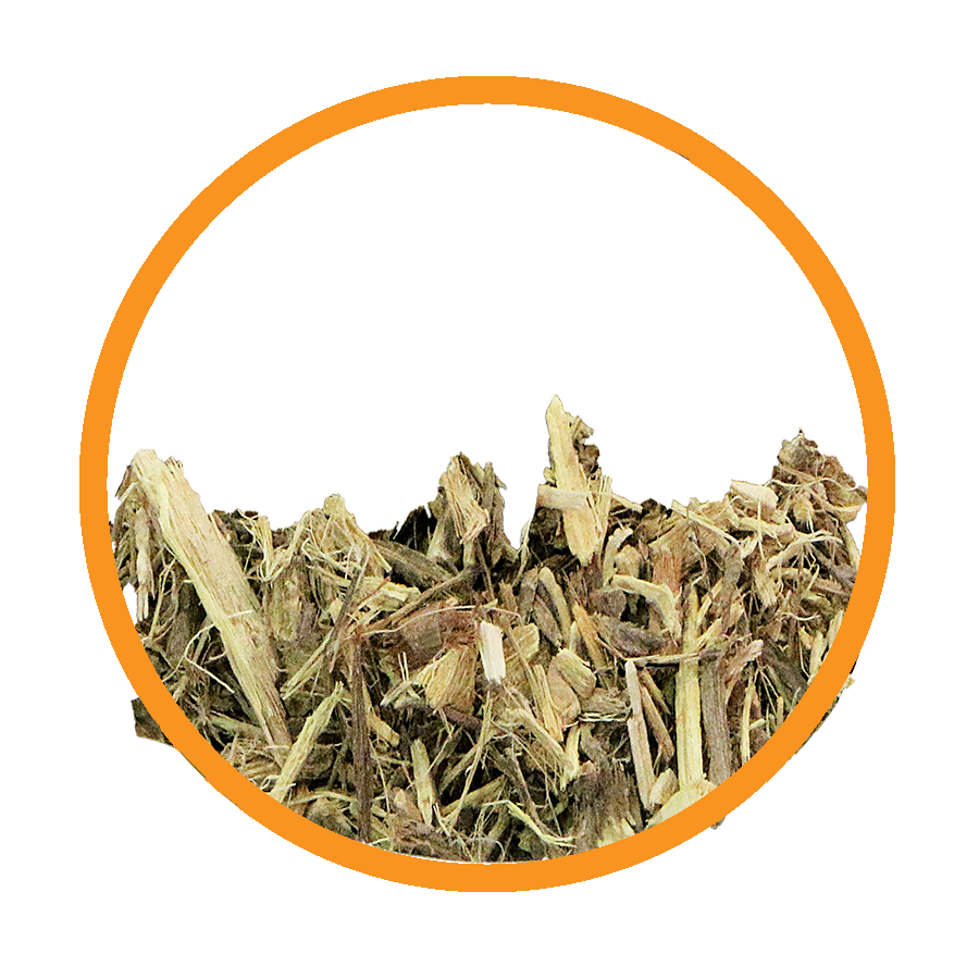 Réglisse Diurétique