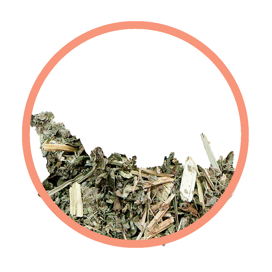 Reine des prés Eczéma