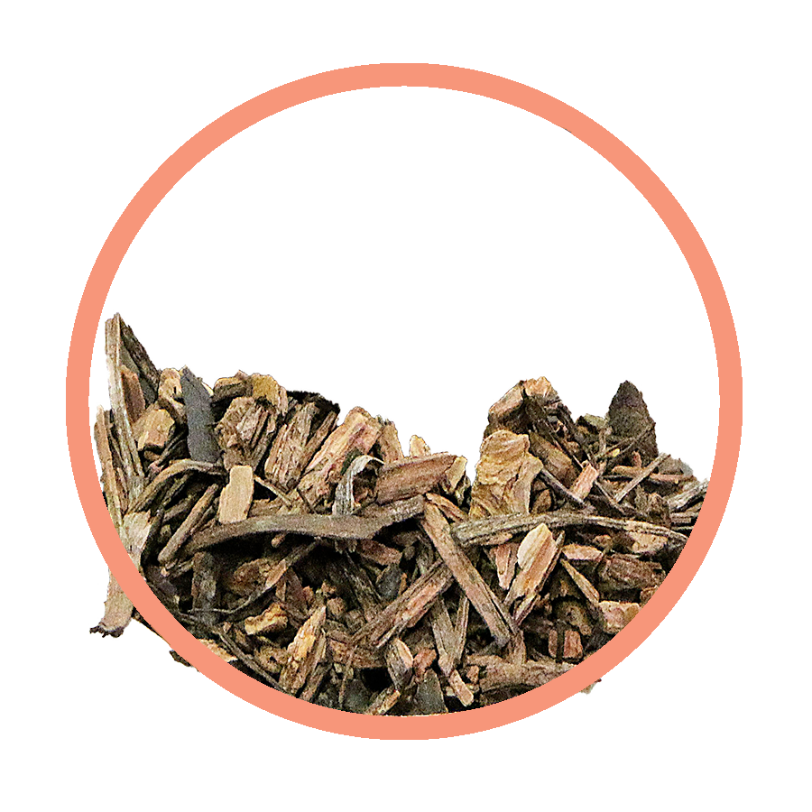 Salsepareille Eczéma