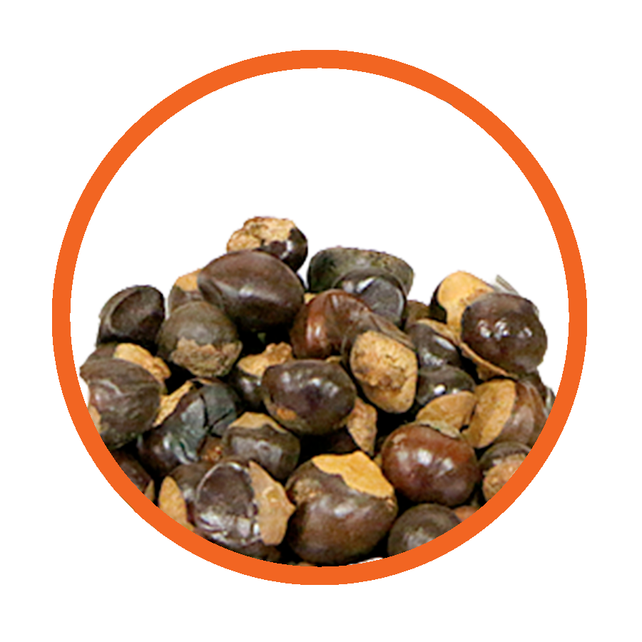 Guarana Energie Vitalité