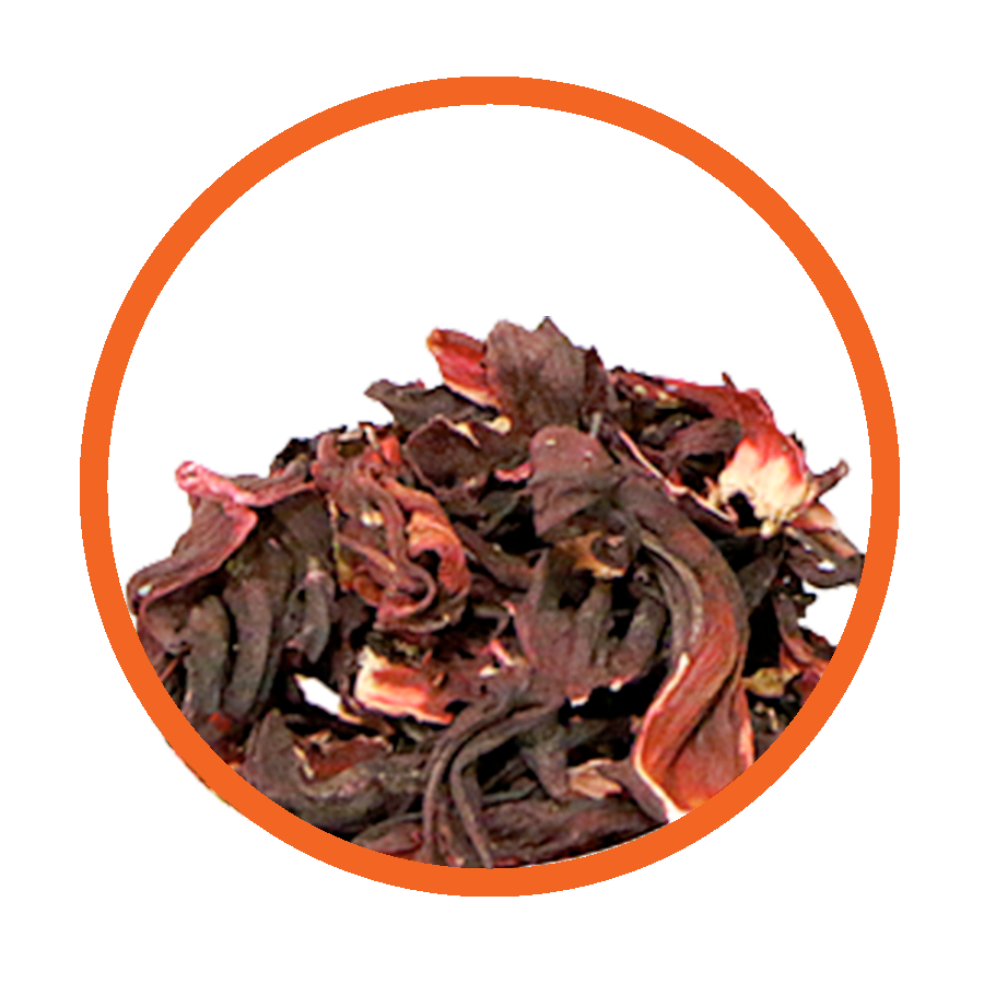 Hibiscus Energie Vitalité