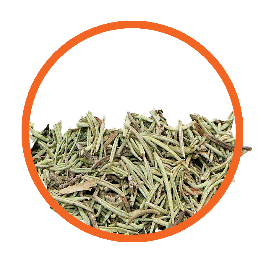 Romarin Energie Vitalité