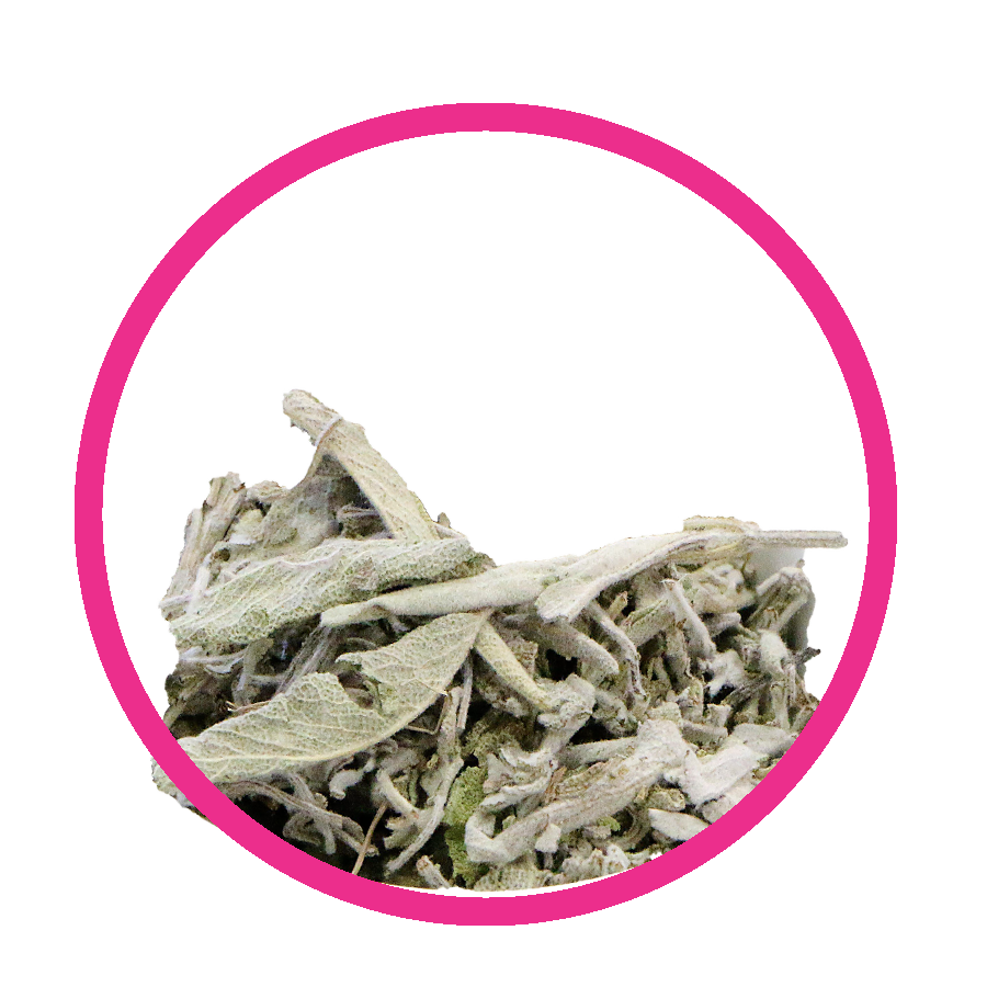 Sauge Femini Tea