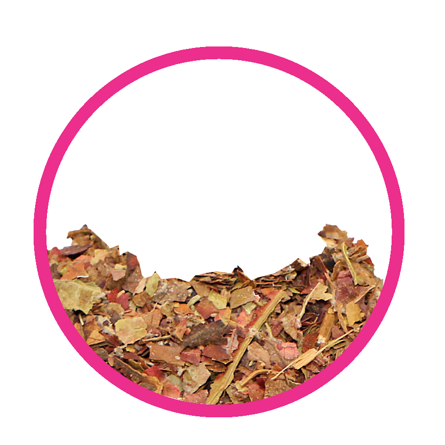 Vigne rouge Femini tea