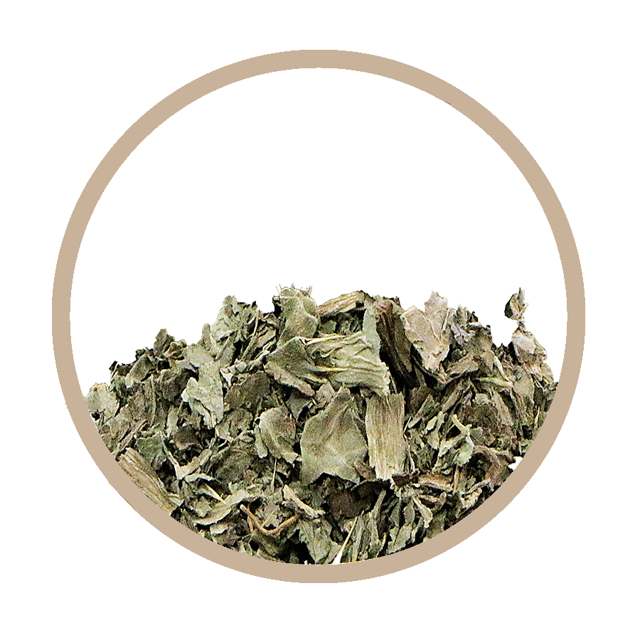 Chardon Marie Foie Cholesterol