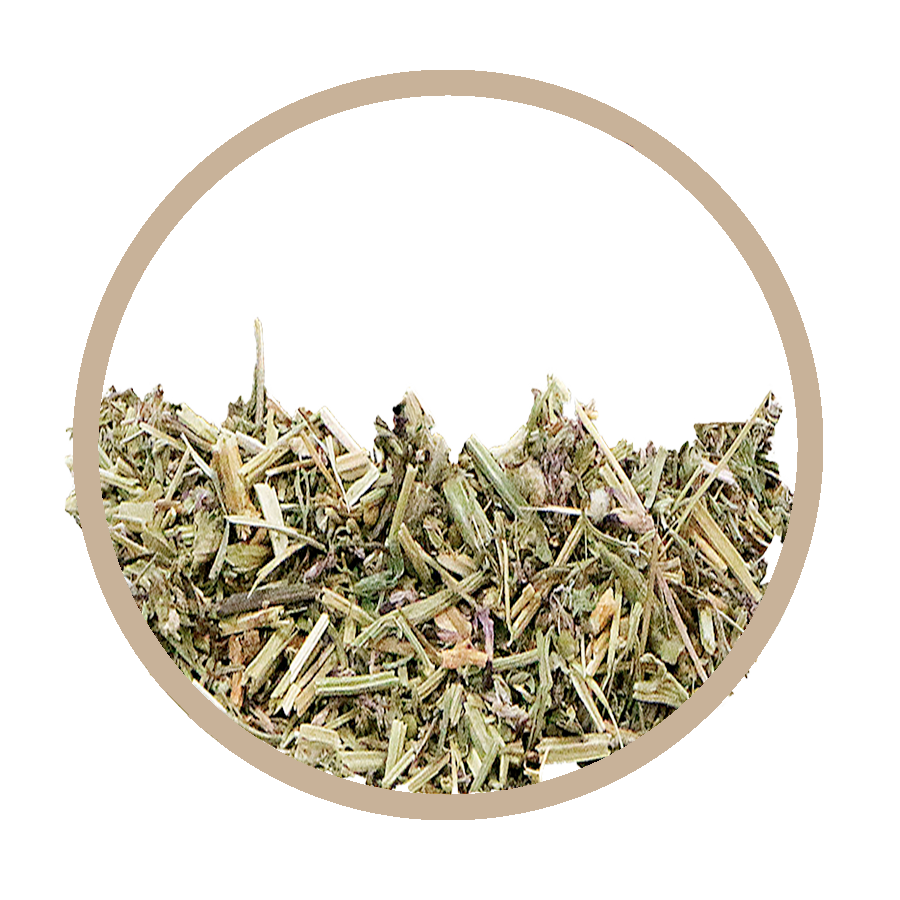 Fumeterre Foie Cholesterol