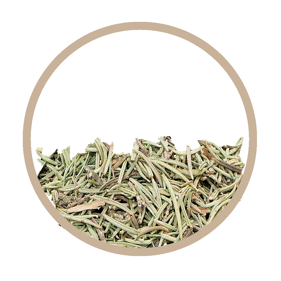 Romarin Foie Cholesterol