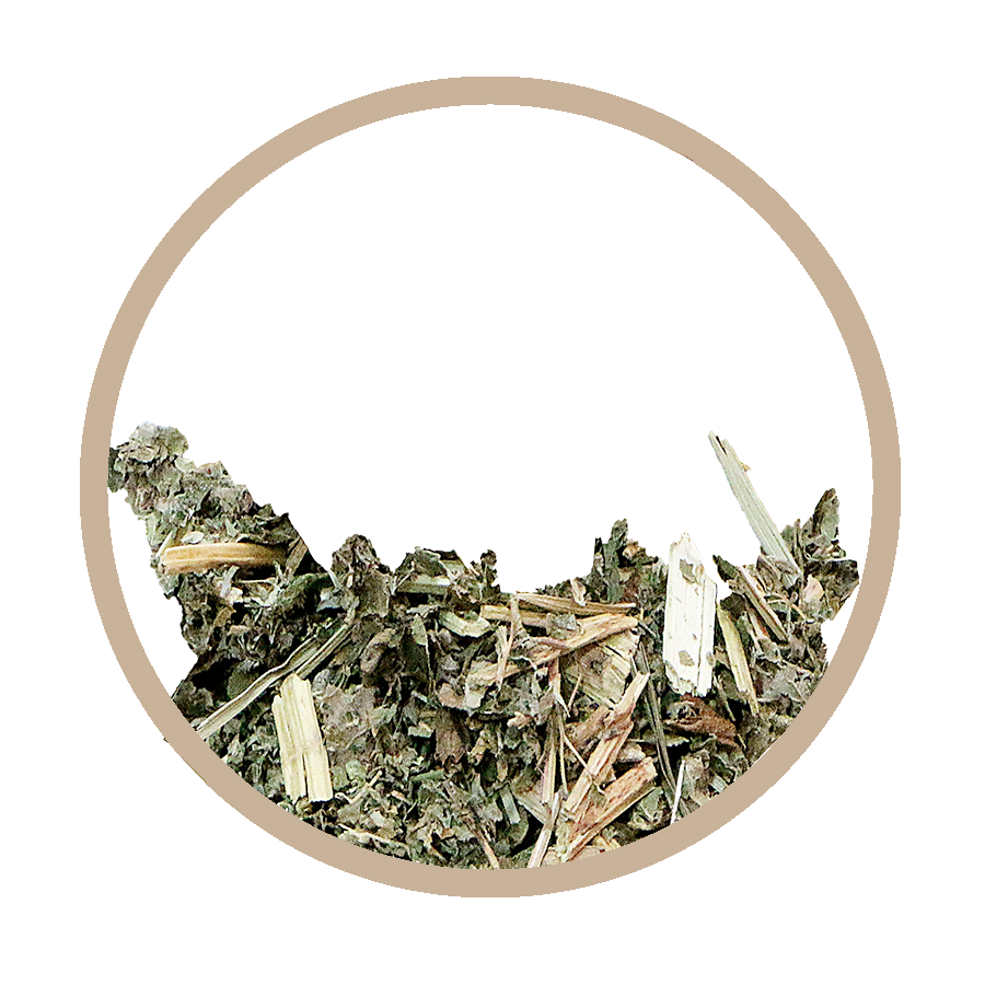 Reine des prés Goutte