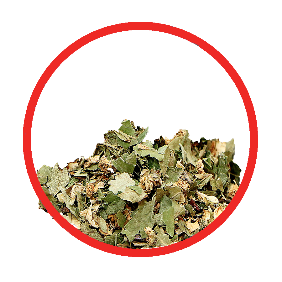 Aubépine Hypertension