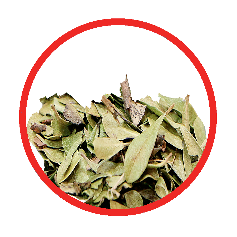 Busserole Hypertension