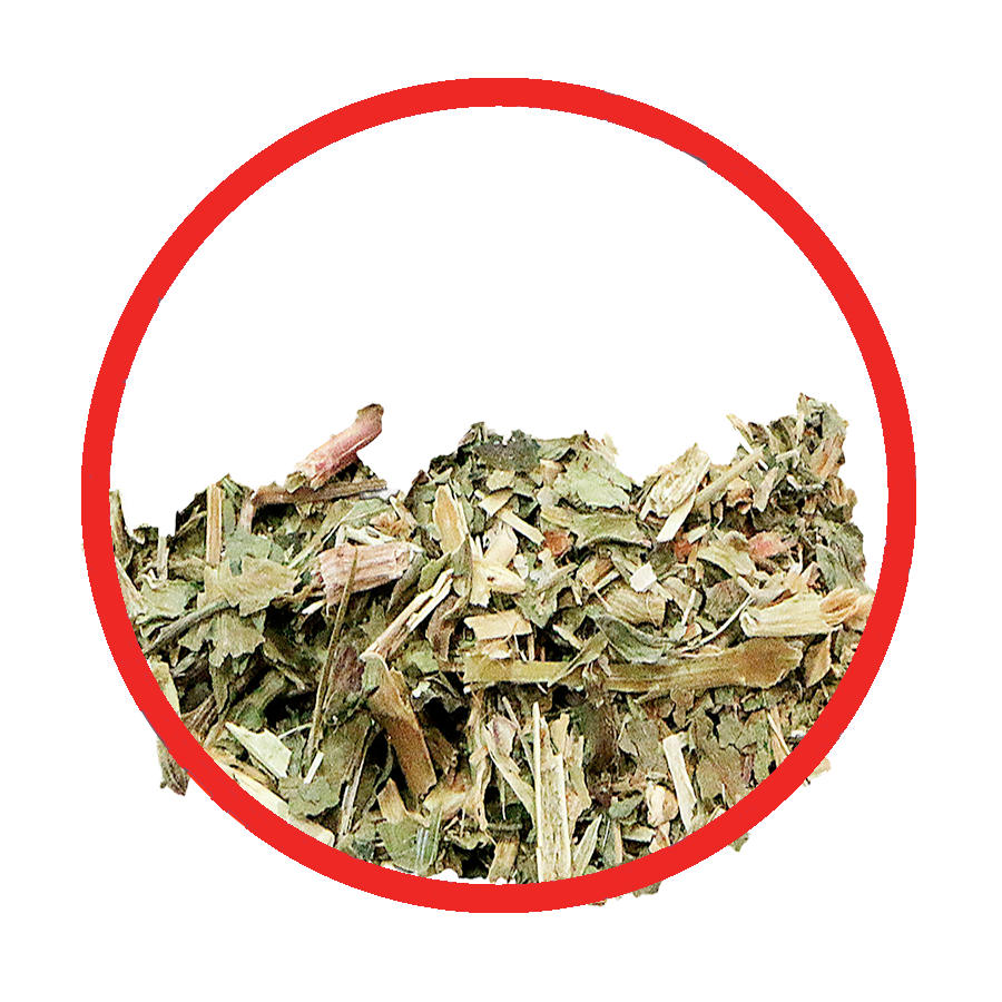 Saponaire Hypertension