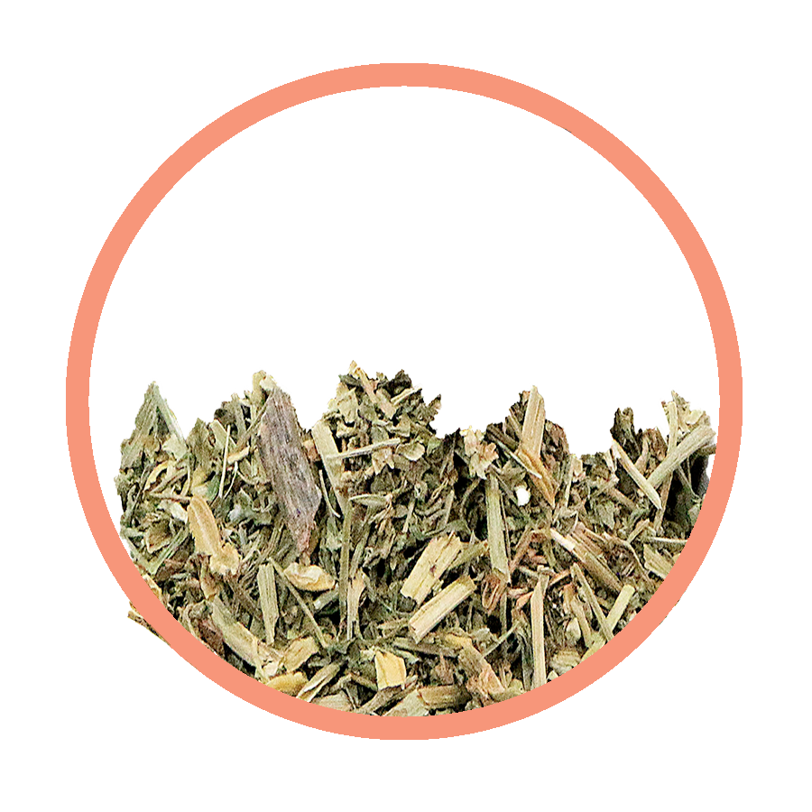 Pensée sauvage Joli teint