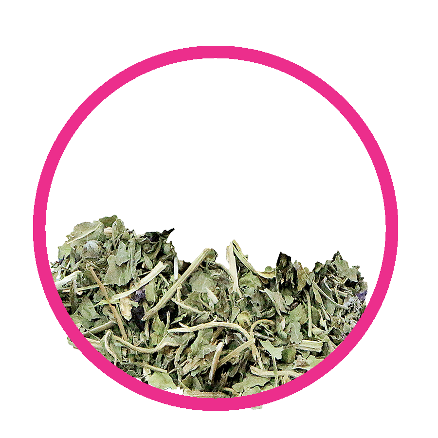 Mauve feuilles Minceur