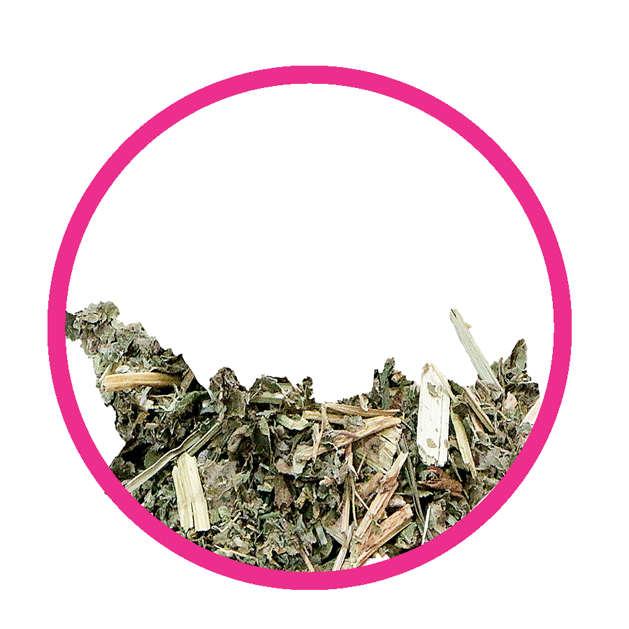 Reine des prés Minceur