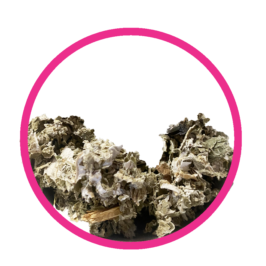 Framboisier Regles douloureuses