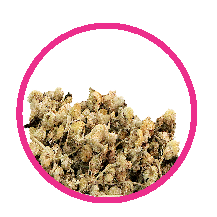 Matricaire Regles douloureuses