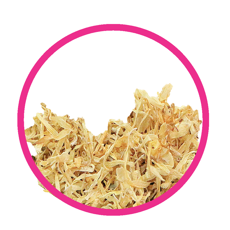 Souci regles douloureuses