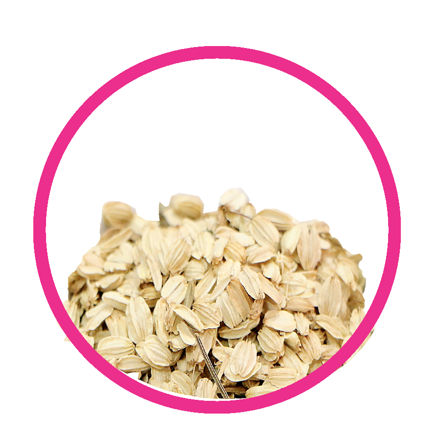 Angélique Retard de régles