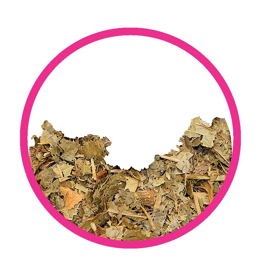 Hamamelis Retard de régles