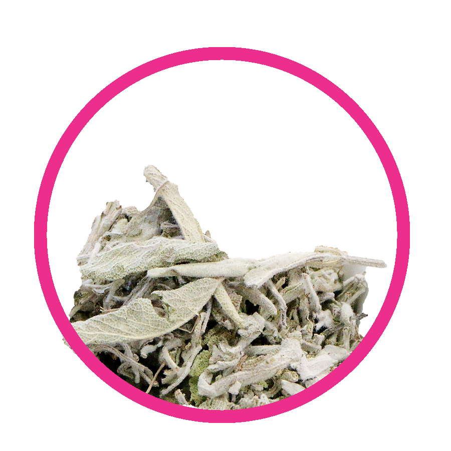 Sauge Retard de régles