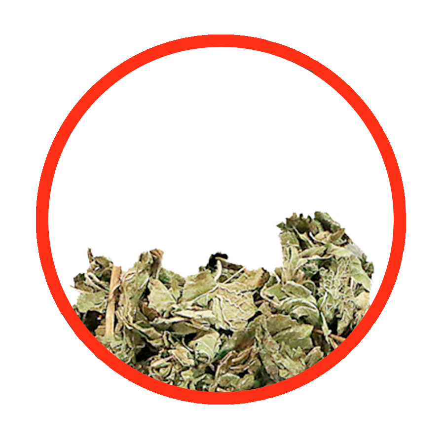 Mélisse Sédative Digestive