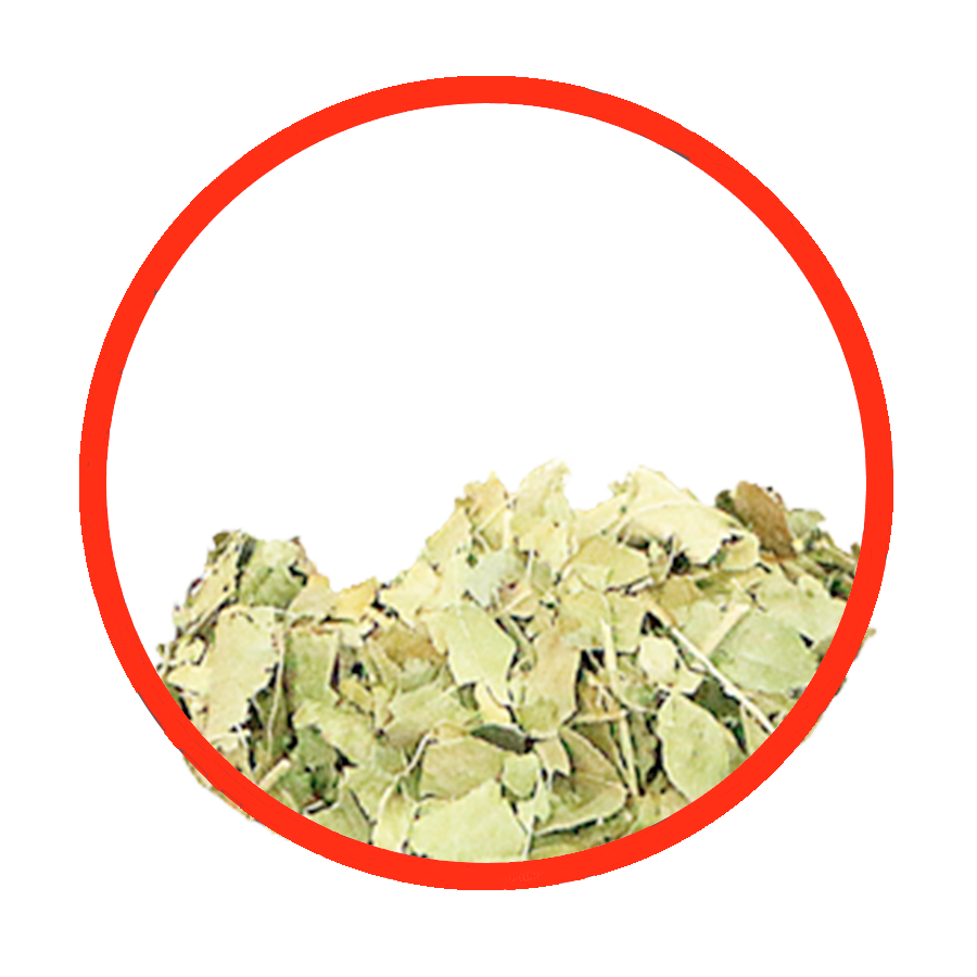 Oranger feuilles Sédative Digestive