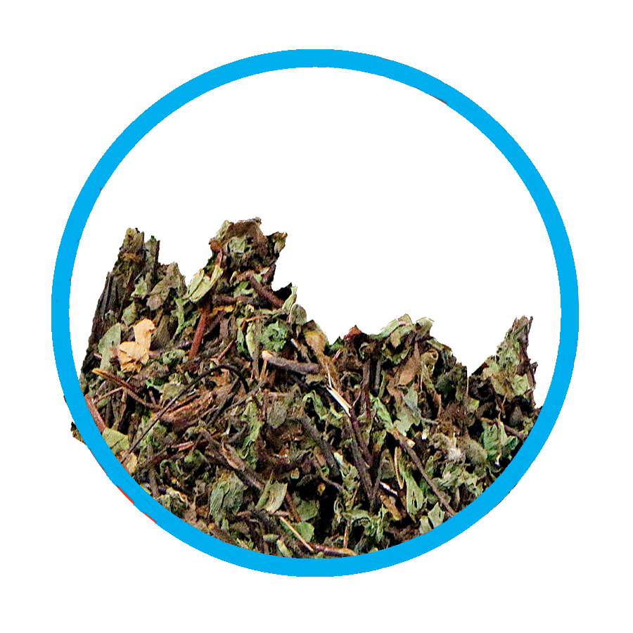 Capillaire Toux sèche