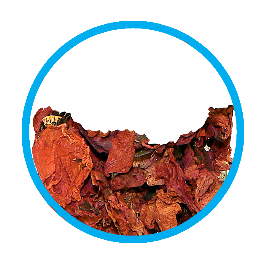 Coquelicot Toux sèche