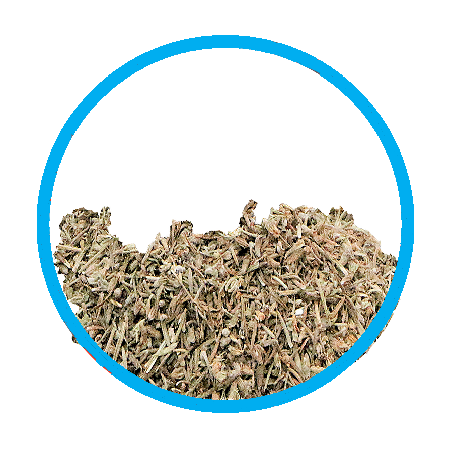 Serpolet Toux sèche