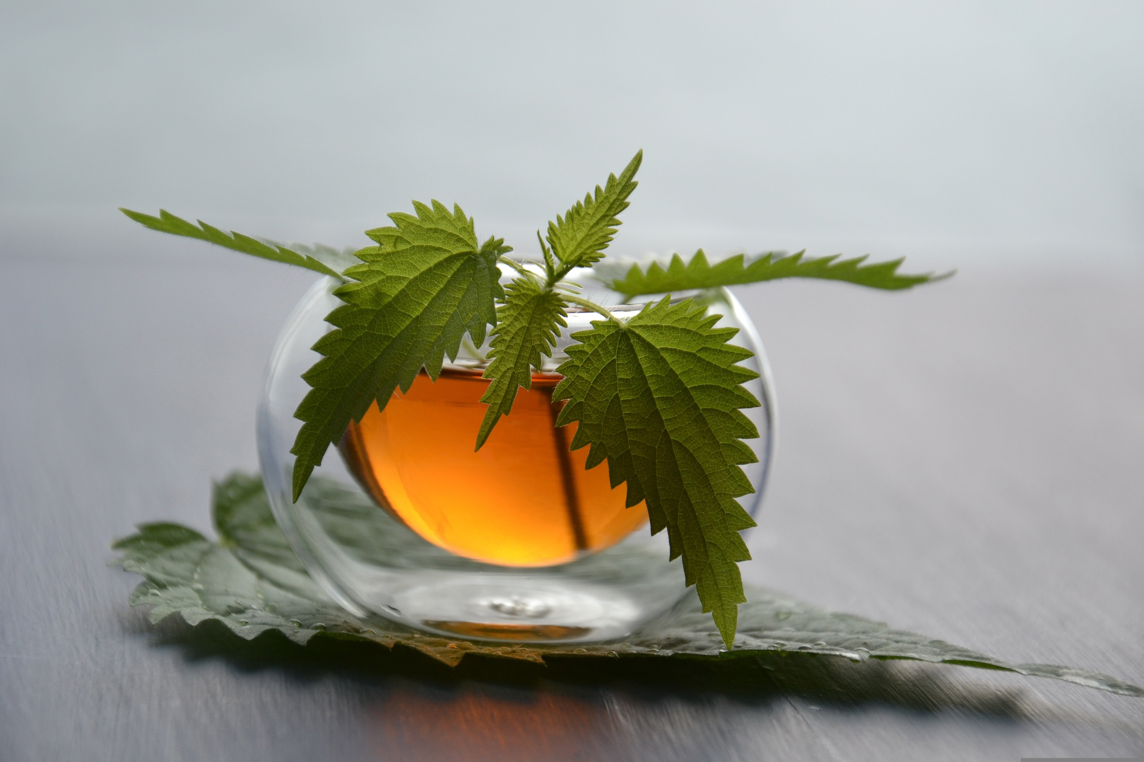 Tea time menthe