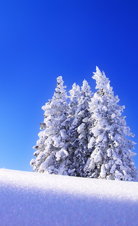Hiver